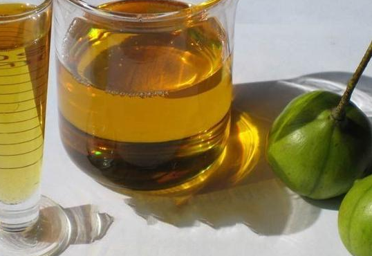 棕榈油或迎来一波上涨行情