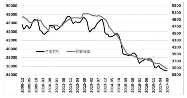 玉米行情将在振荡中前行