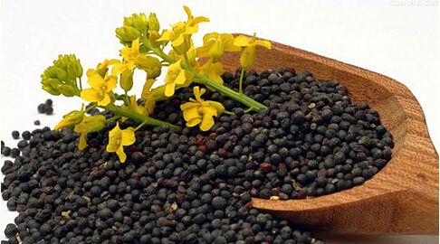 大豆期货走强制约油菜籽市场下跌