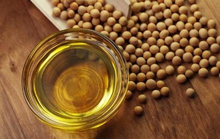 利空效果减弱 豆油逐渐探明阶段底部