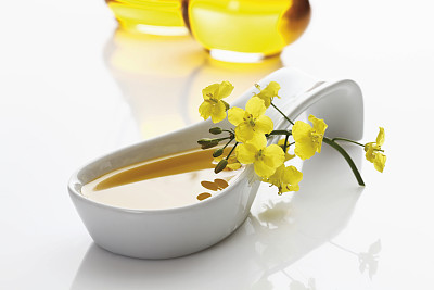 菜油期货偏弱调整 短期或存震荡反弹可能