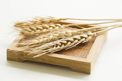 小麦国储去库存力度加大 后市价格将小幅回落