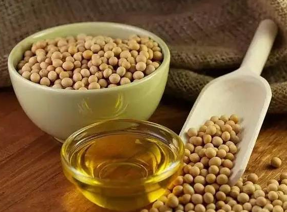 因出口需求疲软 美国豆油走低