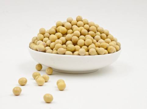 受助于技术性买盘 大豆期货连续二日上涨