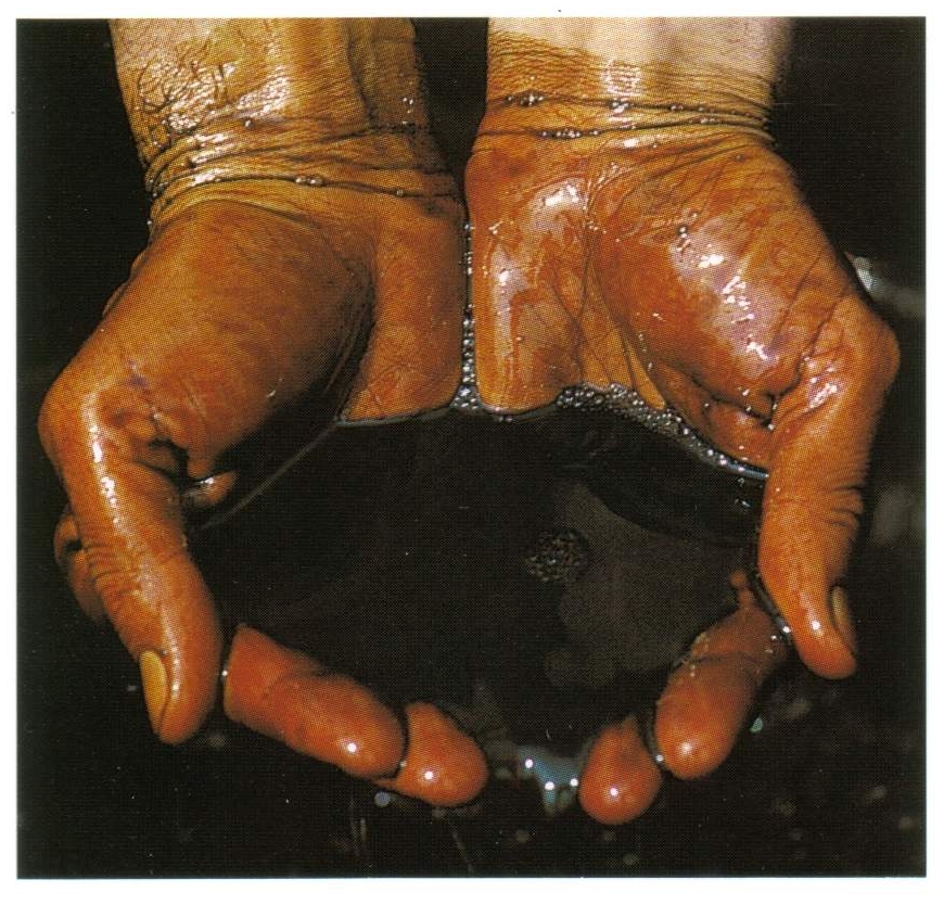 原油期货上涨 中东紧张局势支撑原油市场