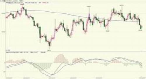 高温蛋鸡歇伏产蛋减少 8月蛋价进入4元时代