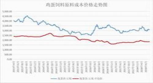 高温蛋鸡歇伏产蛋减少 8月蛋价进入4元时代