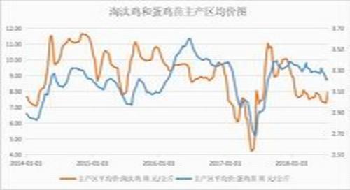 高温蛋鸡歇伏产蛋减少 8月蛋价进入4元时代