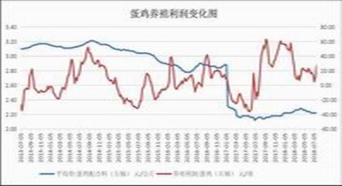 高温蛋鸡歇伏产蛋减少 8月蛋价进入4元时代