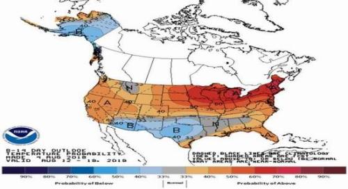 豆粕基本面维稳 等待实质性消息