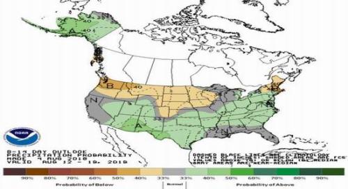 豆粕基本面维稳 等待实质性消息