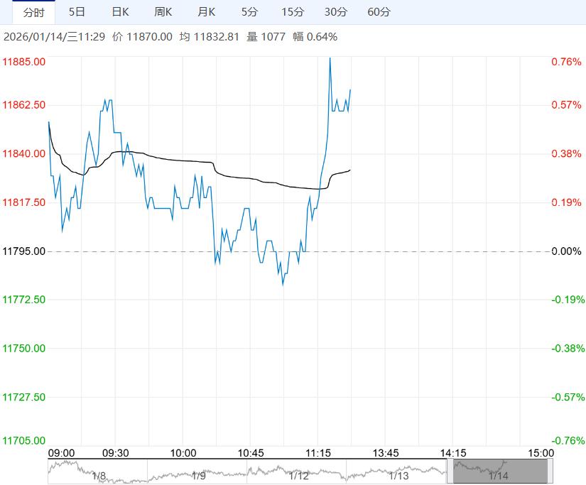 现货向下驱动不足 短期或继续支撑生猪偏强震荡运行